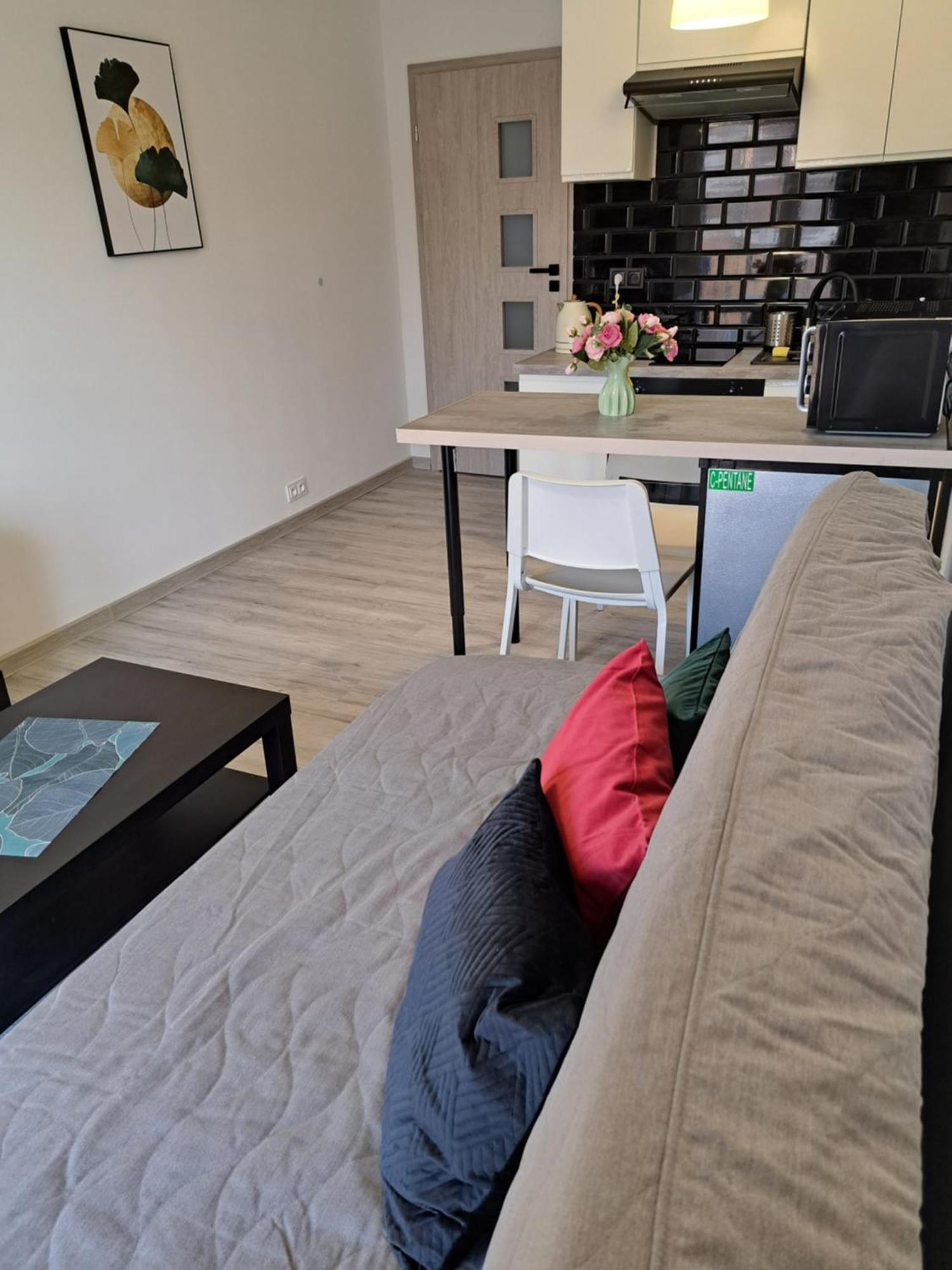 Aqua Centrum Borowska Apartment Breslau