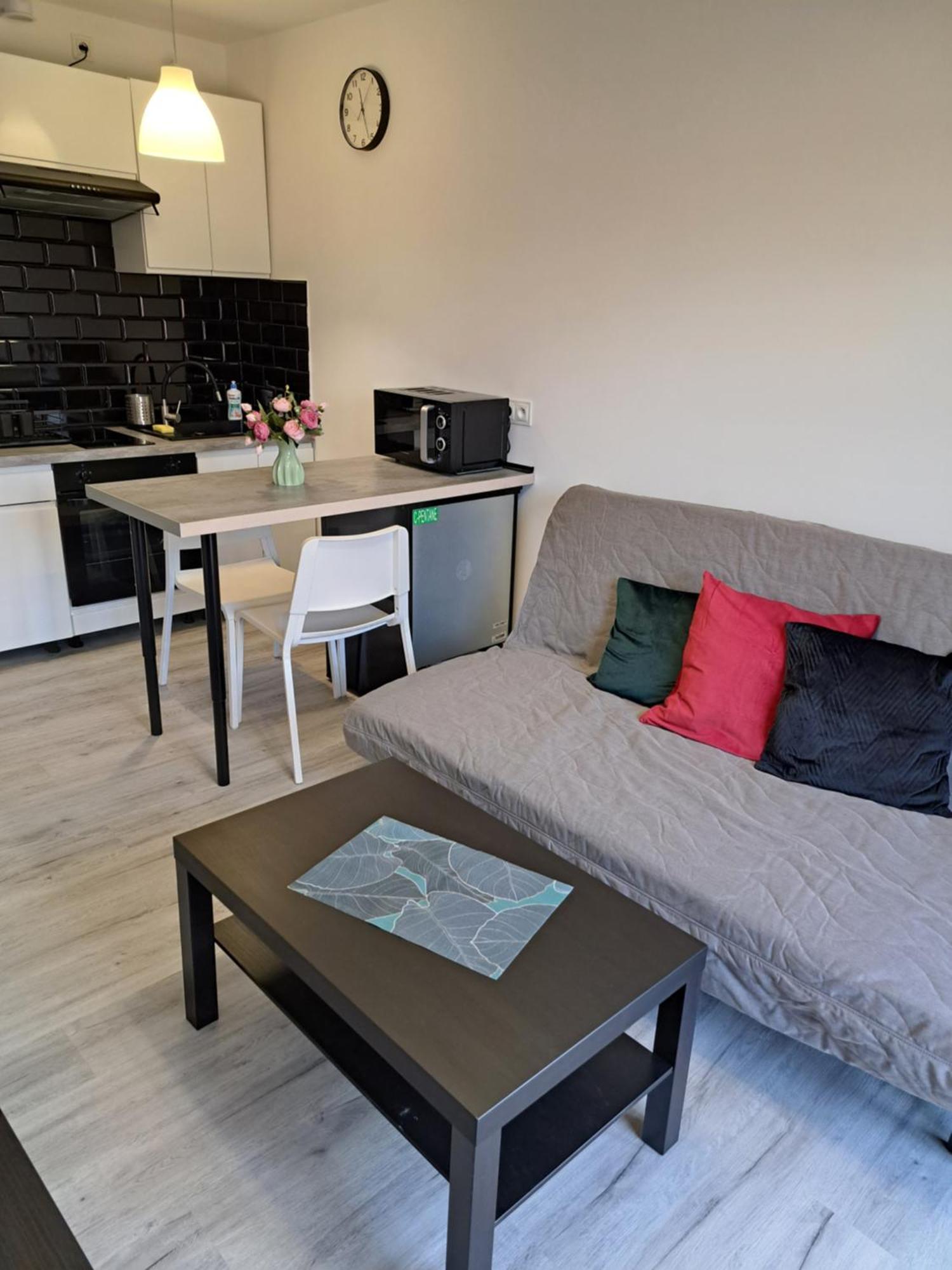 Aqua Centrum Borowska Apartment Breslau